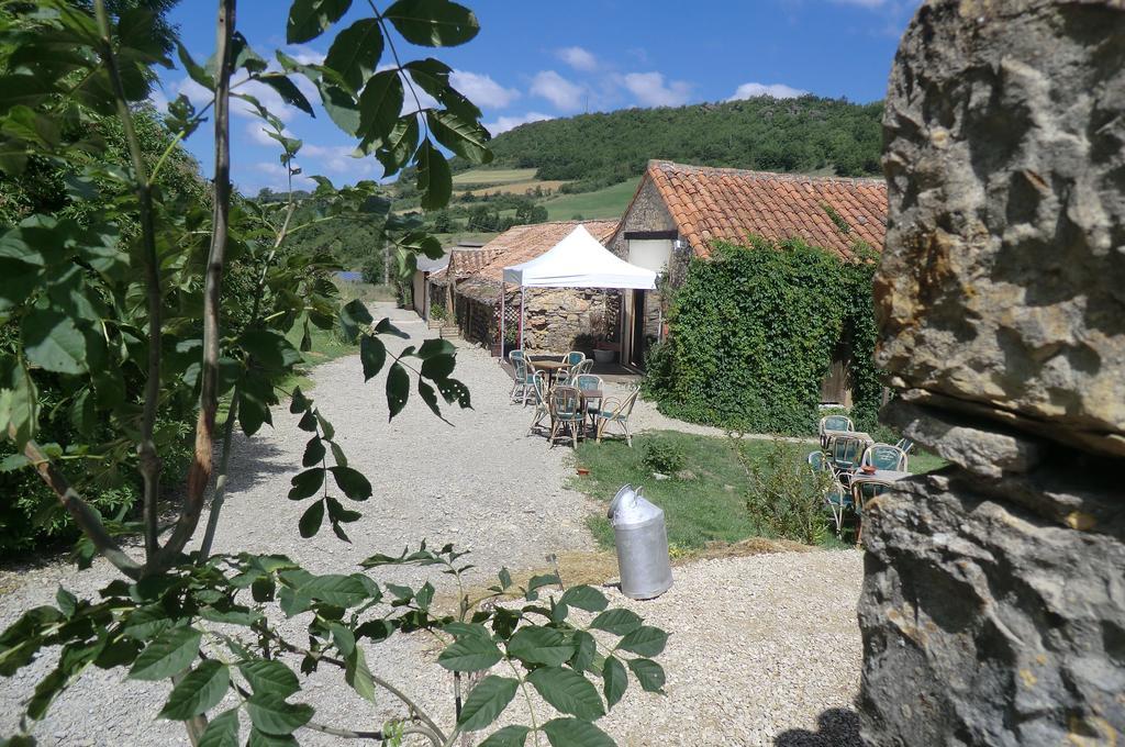 Domaine D'Alcapies Bed & Breakfast Saint-Jean-dʼAlcapiès Екстериор снимка